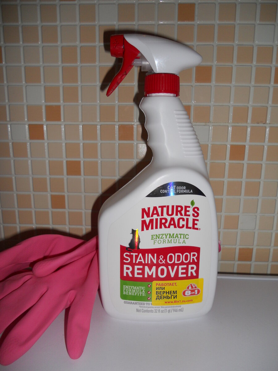 Как бы не пришлось требовать назад свои деньги...