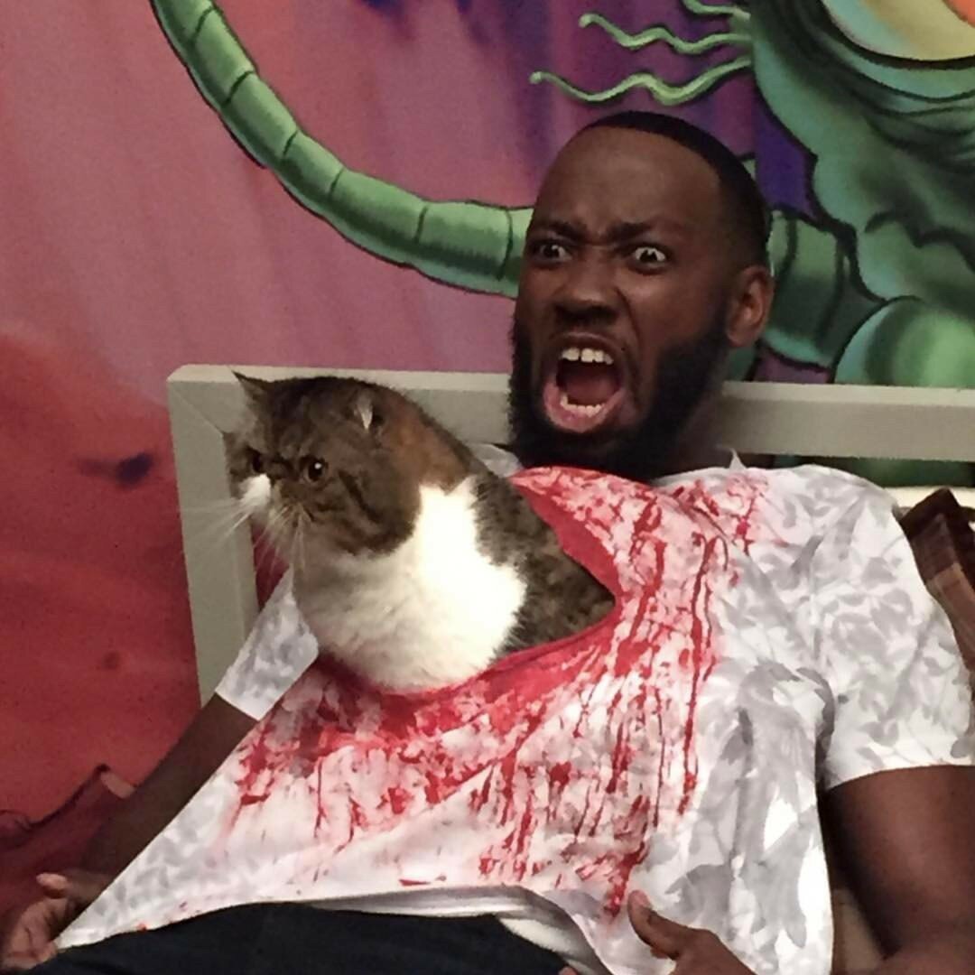 Вот примерно об этом и будет статья