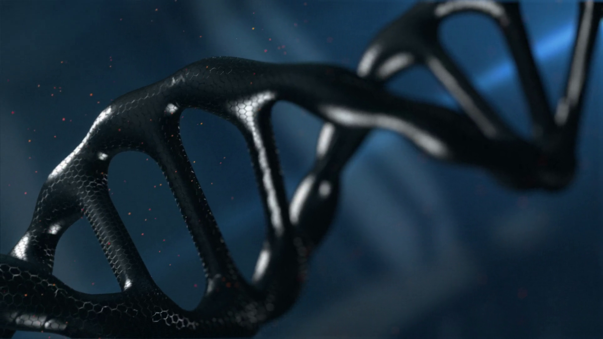 Источник: https://www.videoblocks.com