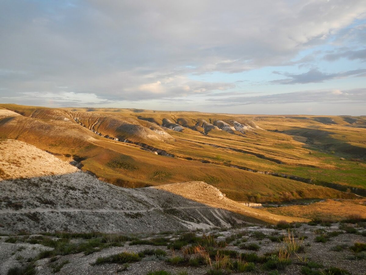 Меловых холмы у берегов Дона между Новогригорьевской и Трёхостровской
