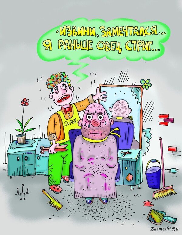 Источник картинки: https://zasmeshi.ru/caricature/category/1512/beauty.html