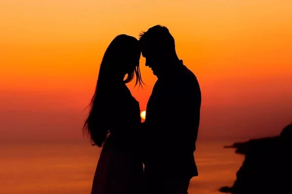 Джудит Макнот  роман "Само совершенство".