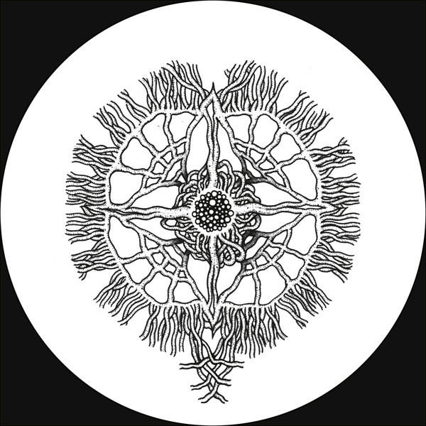 Oliver Rosemann - Intermediate World EP