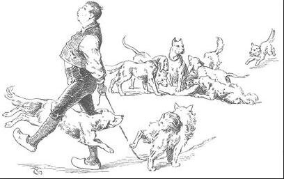 Картинка из http://kidtale.ru/skazki-bratev-grimm/smyshljonyj-gans/