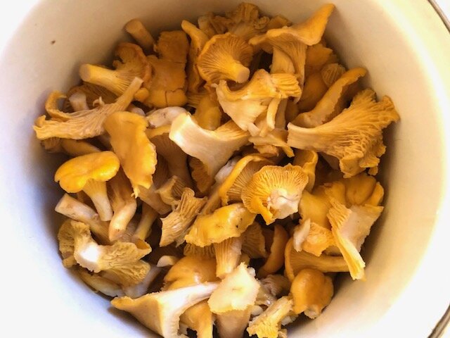 Лисички промыты и порезаны