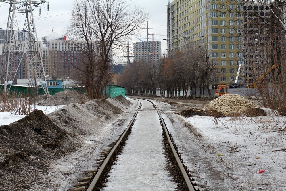 2. Интересно, сколько в этом дворе ферроэквинологов выросло?