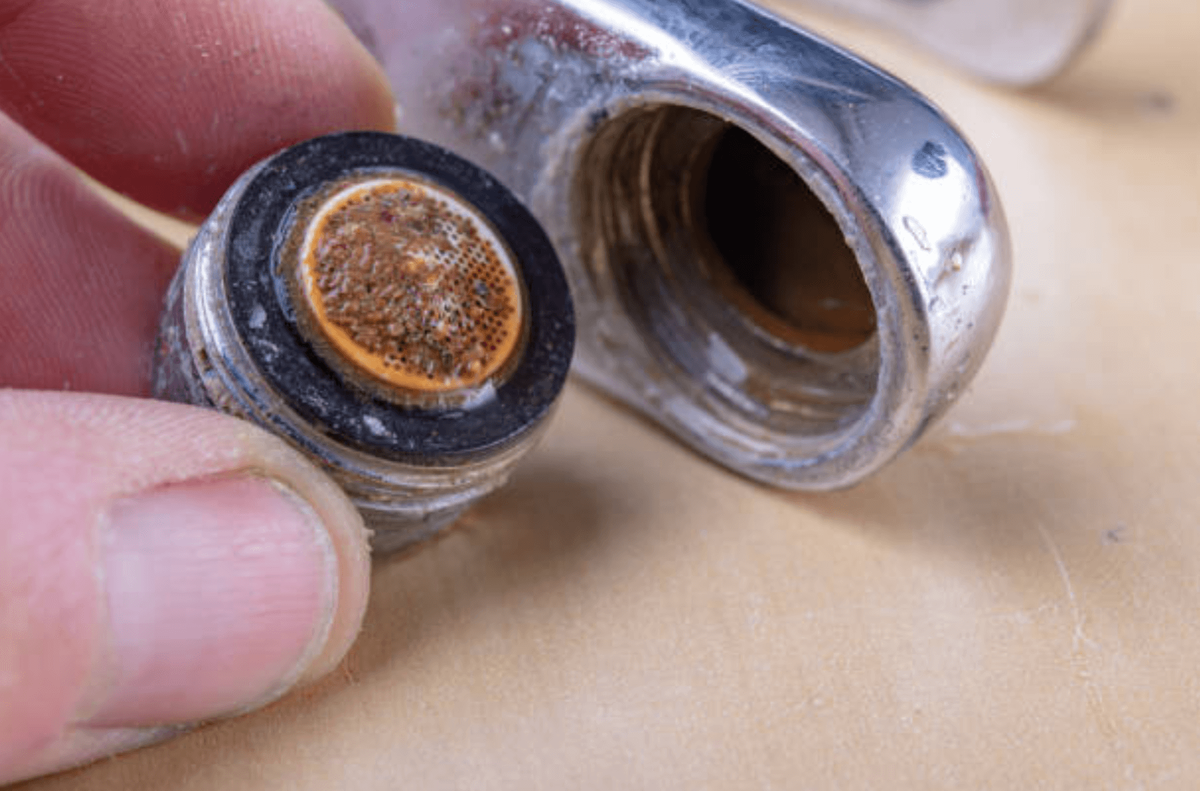 Фото: Piotr Wytrazek/iStock