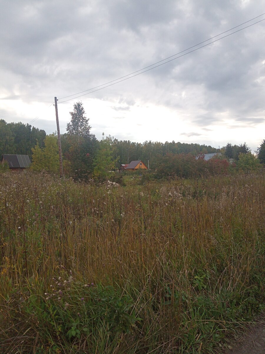 фото с моего телефона.