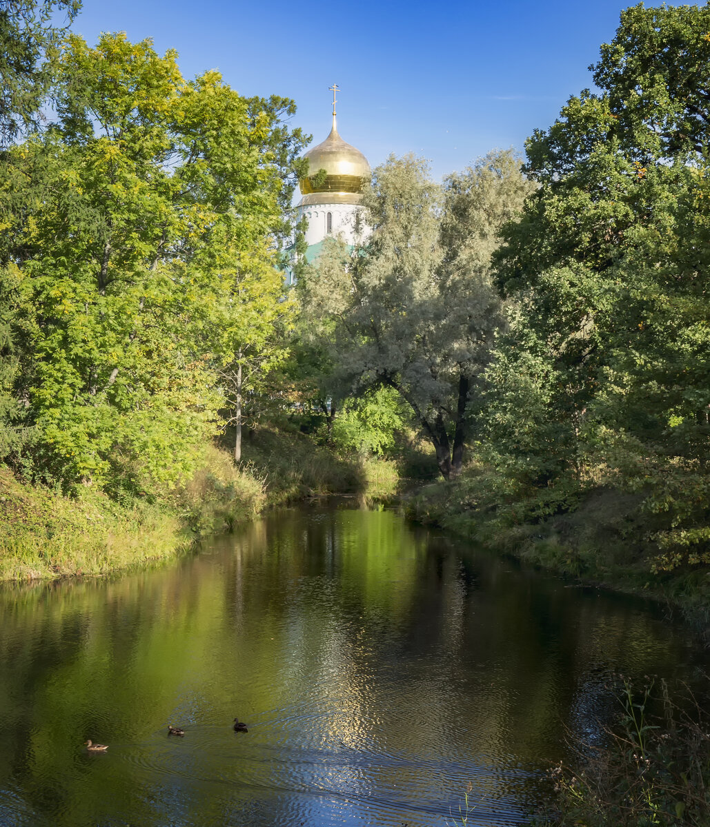 Царское село Государев собор деревья