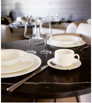 Рисунок 1 - посуда Zenix