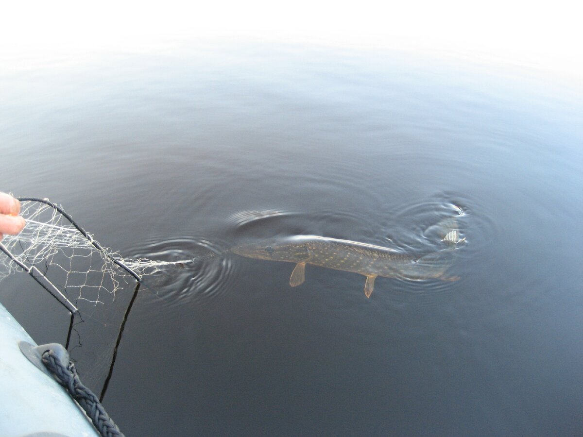 И из чужих сетей то же. 