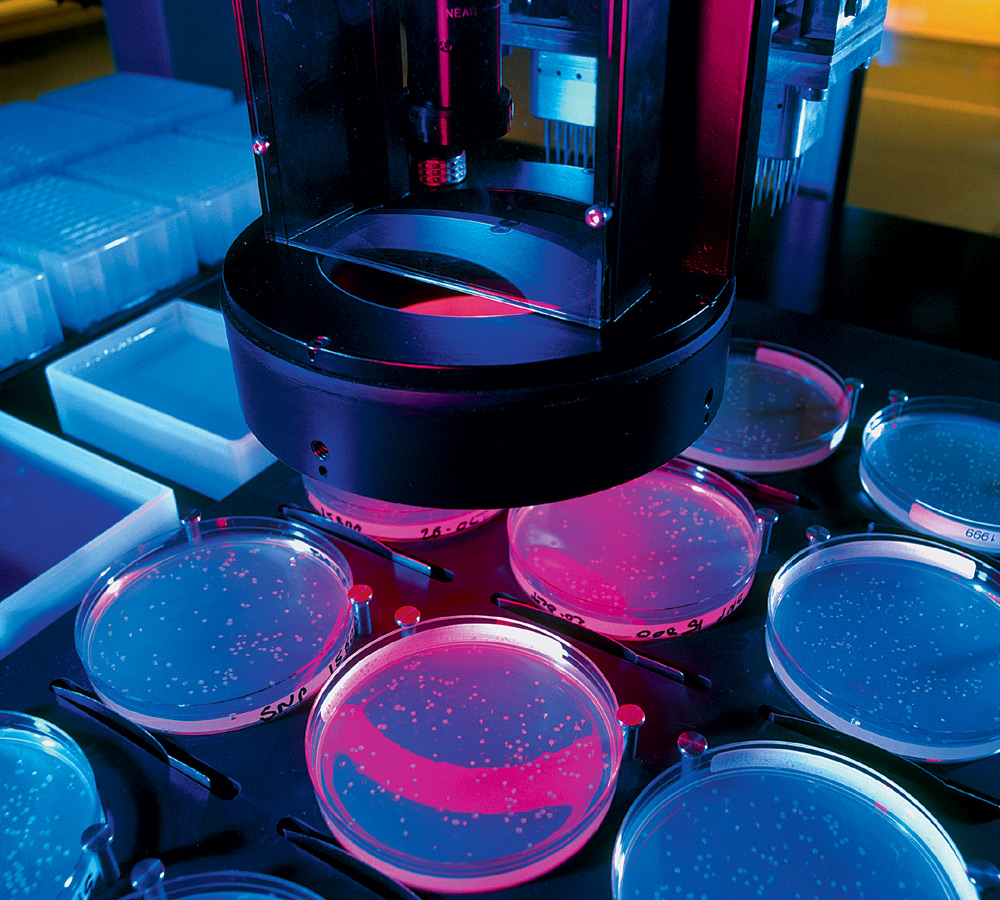 Робот сортирует ДНК человека в чашках Петри для проекта The Human Genome