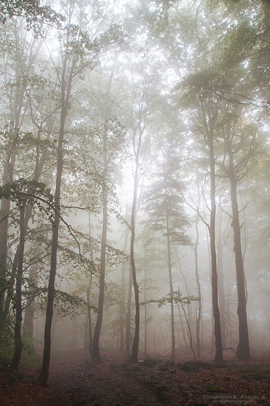 https://images-wixmp-ed30a86b8c4ca887773594c2.wixmp.com/f/1a189150-122b-43ca-a28e-1ba627c00c01/dbv1kc5-d9dc6290-da38-499a-9f74-1b3ed25fcd4c.jpg?token=eyJ0eXAiOiJKV1QiLCJhbGciOiJIUzI1NiJ9.eyJzdWIiOiJ1cm46YXBwOjdlMGQxODg5ODIyNjQzNzNhNWYwZDQxNWVhMGQyNmUwIiwiaXNzIjoidXJuOmFwcDo3ZTBkMTg4OTgyMjY0MzczYTVmMGQ0MTVlYTBkMjZlMCIsIm9iaiI6W1t7InBhdGgiOiJcL2ZcLzFhMTg5MTUwLTEyMmItNDNjYS1hMjhlLTFiYTYyN2MwMGMwMVwvZGJ2MWtjNS1kOWRjNjI5MC1kYTM4LTQ5OWEtOWY3NC0xYjNlZDI1ZmNkNGMuanBnIn1dXSwiYXVkIjpbInVybjpzZXJ2aWNlOmZpbGUuZG93bmxvYWQiXX0.dm6-p_UvqdFhorrJiOhhZnOoWHq6s5YZB7rPukOp2zU