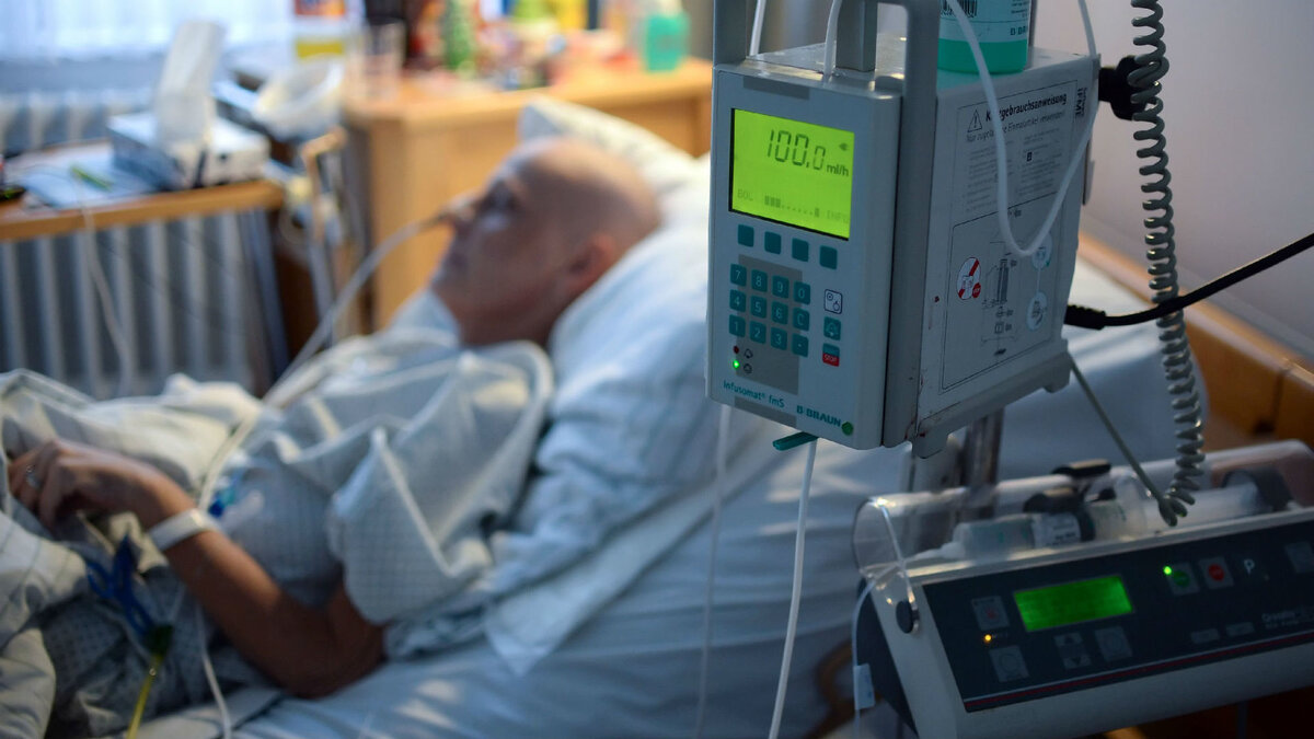 (фото: vesti.ru)