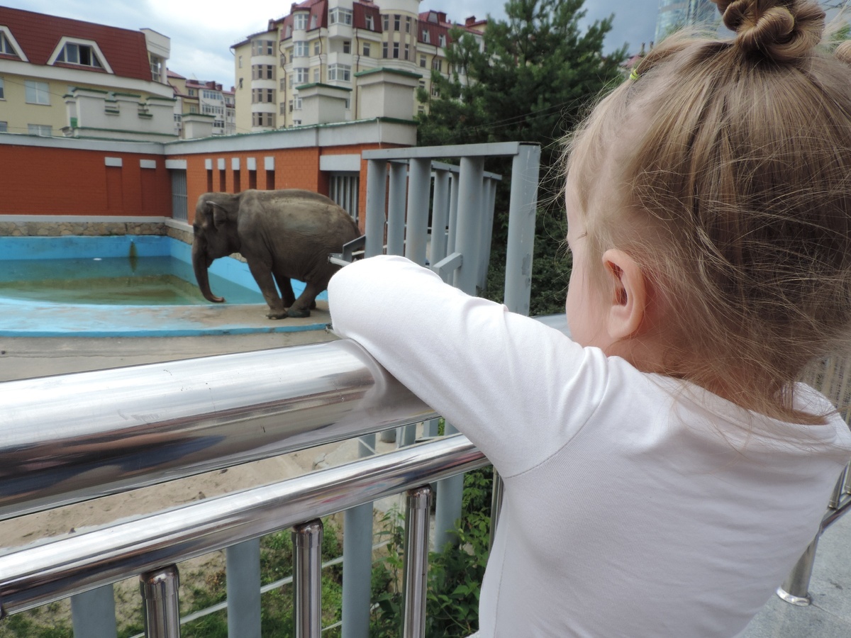 Фото сделано в нашем городском зоопарке. Вот такая я мать плохая!