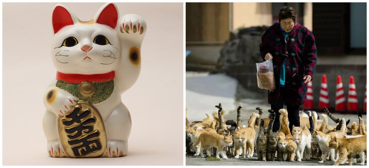 кошки в Японии