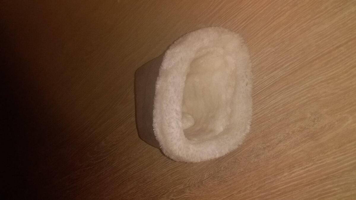 Бывший сапог стал временным домиком