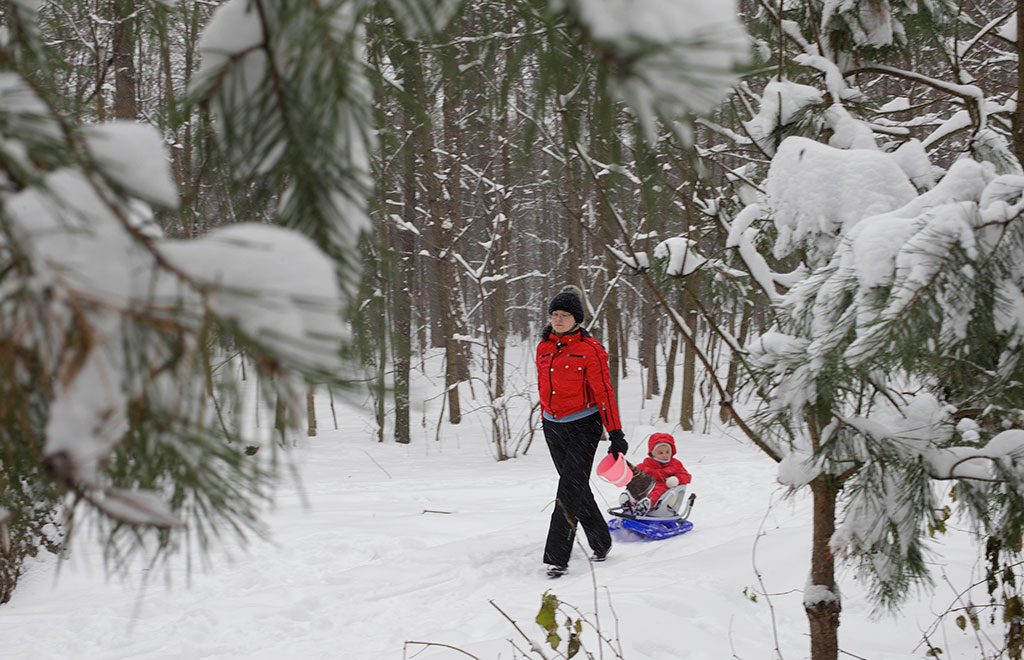 Источник: AP 2020 