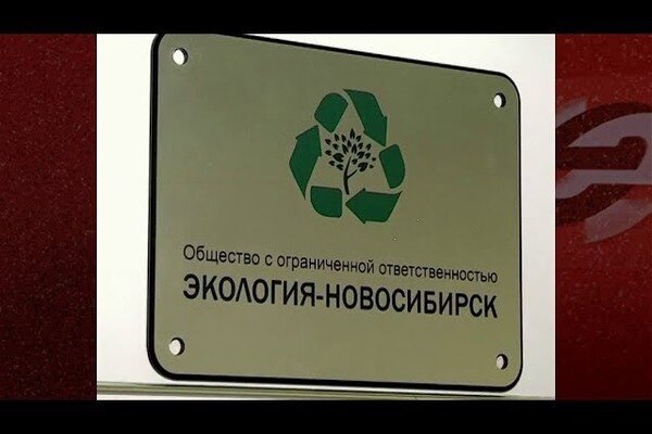 Сайт экологии новосибирской. ООО экология Новосибирск. Офис экология Новосибирск.