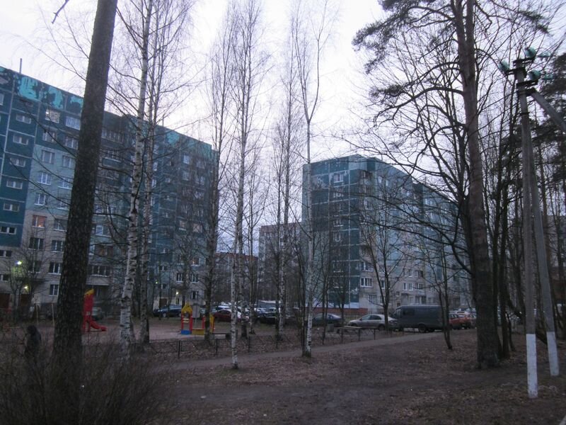 Всеволожск. Дома на Котовом поле