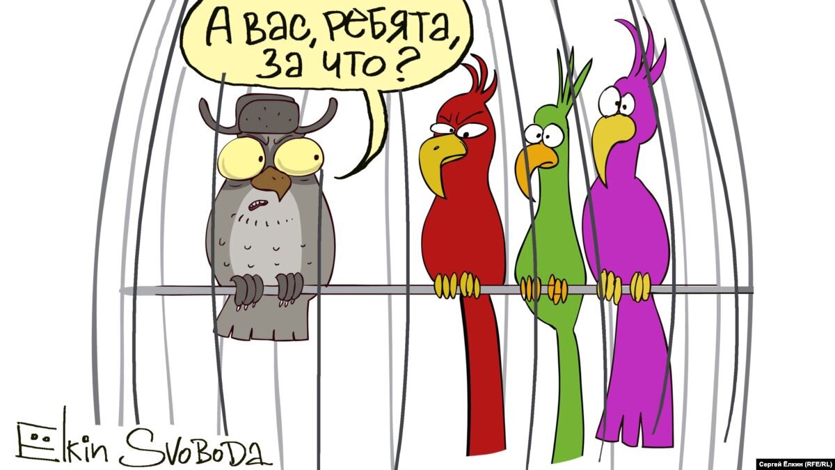 взято из открытых источников на сайте https://yandex.ru/images