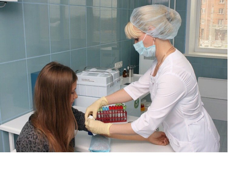 Рисунок взят из открытых источников в интернете