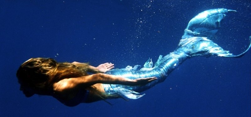 Как сделать бизнес на курсах плавания? Притом такой, чтобы отличался от множества других и приносил доход. Ответ прост: создайте курсы русалок, как это сделали предприимчивые американские ребята. Проект под названием Mermaid School запустили в городском населенном пункте Денвер.

