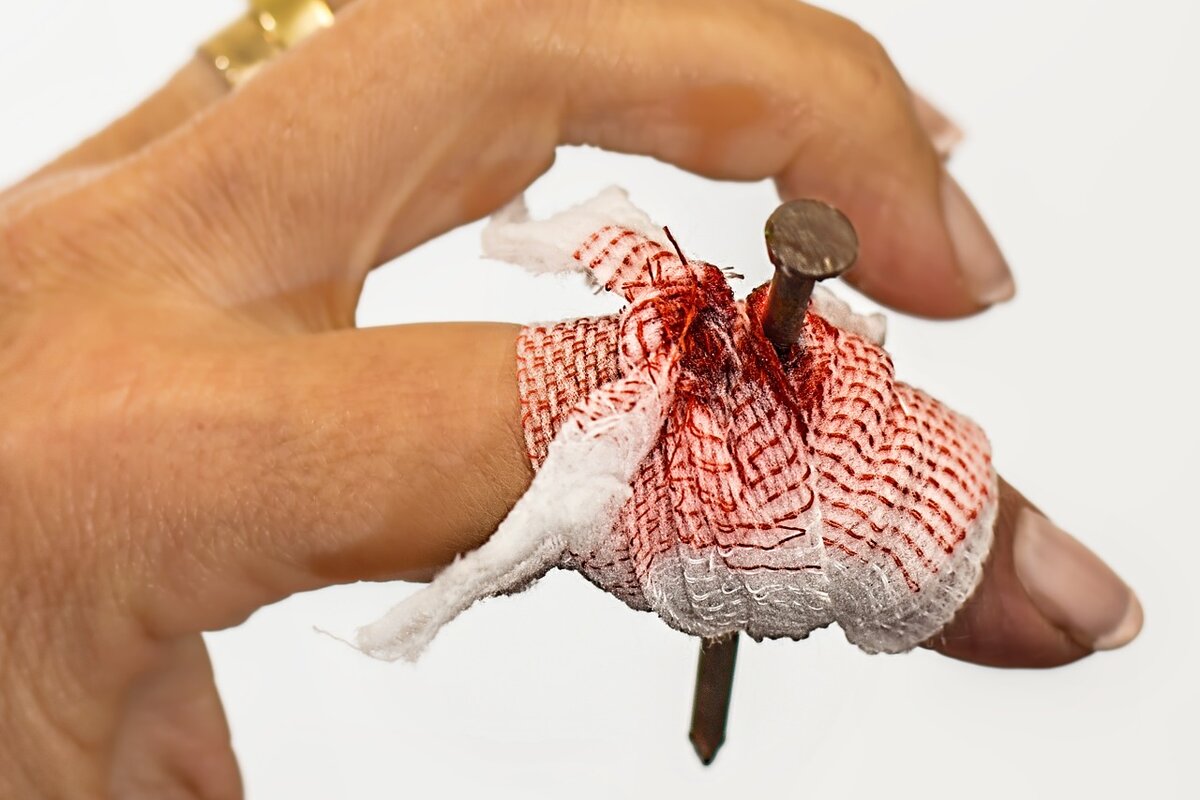 фото из интернета