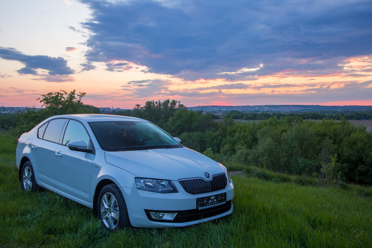 skoda octavia a 7