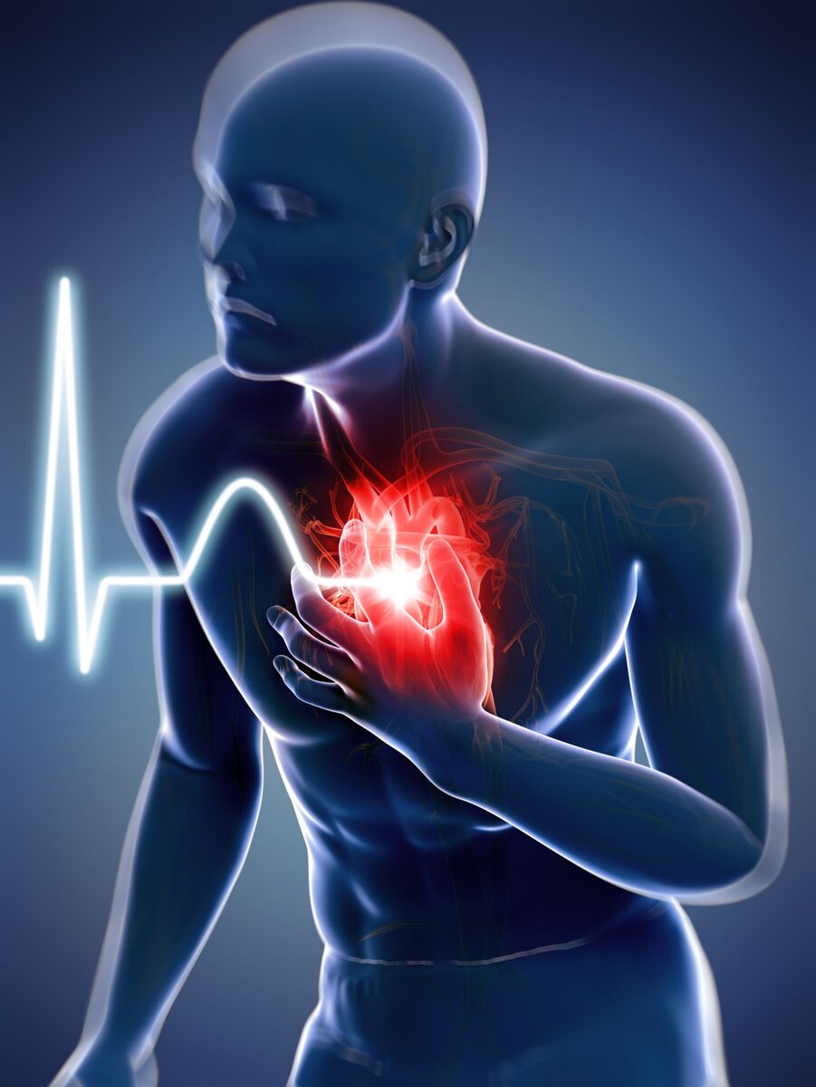 Очищение и восстановление организма народными средствами при сердечных заболеваниях