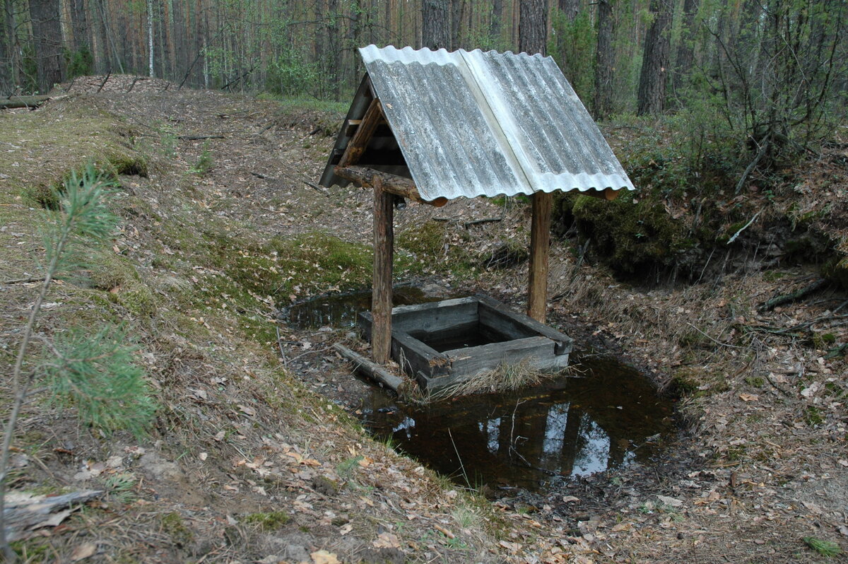 Родник в честь Спаса Нерукотворного