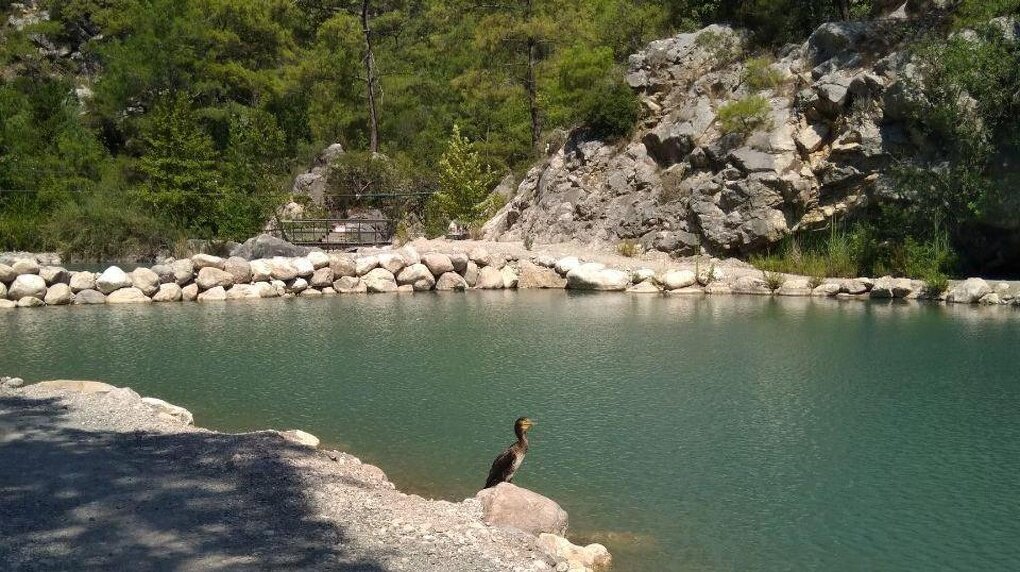 Каньон Гёйнюк — 14-километровое ущелье с цепочкой озер и большим водопадом в конце. Гулять здесь можно хоть целый день, но надо запастись водой — не менее двух литров на человека. Если спуститься от каньона пешком по дороге, которая идет вдоль русла высохшей реки, попадаешь на дикий пляж — ни лежаков, ни зонтиков, людей мало, в основном местные. (Фото: Алексей Меркулов для 66.RU)