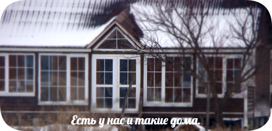  Это фото с прошлой зимы.
