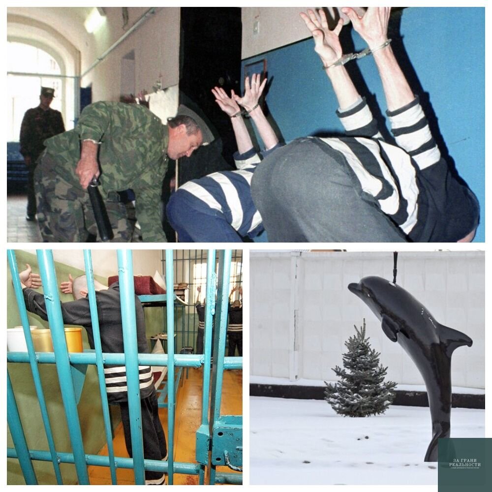 Почему посадили в тюрьму. Соль-Илецк черный Дельфин. Соль-Илецк тюрьма черный Дельфин. ИК-6 черный Дельфин. ИК-6 черный Дельфин камеры.