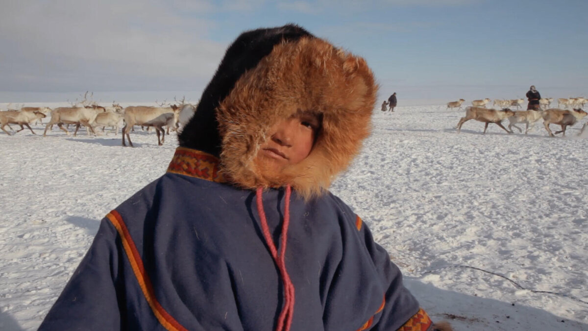 Почему ненцы (жители тундры) и калмыки (жители полупустынь и сухих степей) кочуют? - Универ soloBY