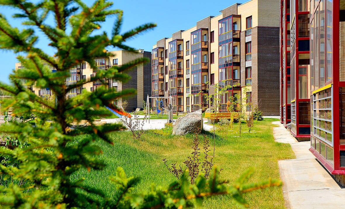 Фото взято с Яндекс.Картинки 