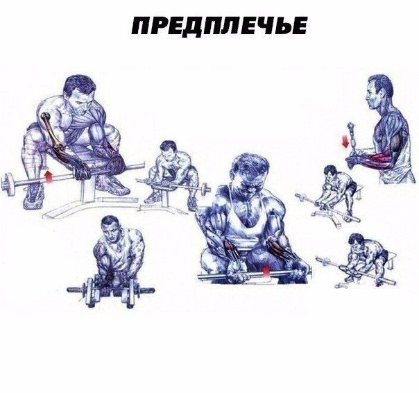 Упражнение на предплечье