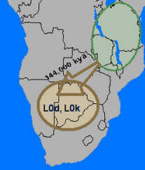 Регионы древнейших мегаполисов и золотодобычи около 200 000 лет назад в Южной Африке (светло-коричневый контур на сером фоне)