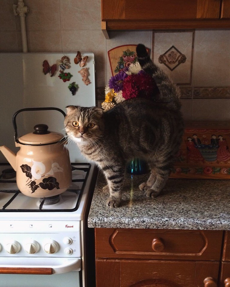 Выпить чаю? Самое то осенью!