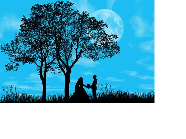 Изображение с сайта pixabay.com