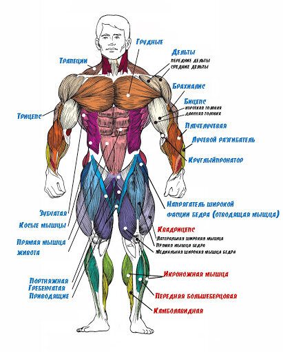 кому может интересно как тут всё называется..