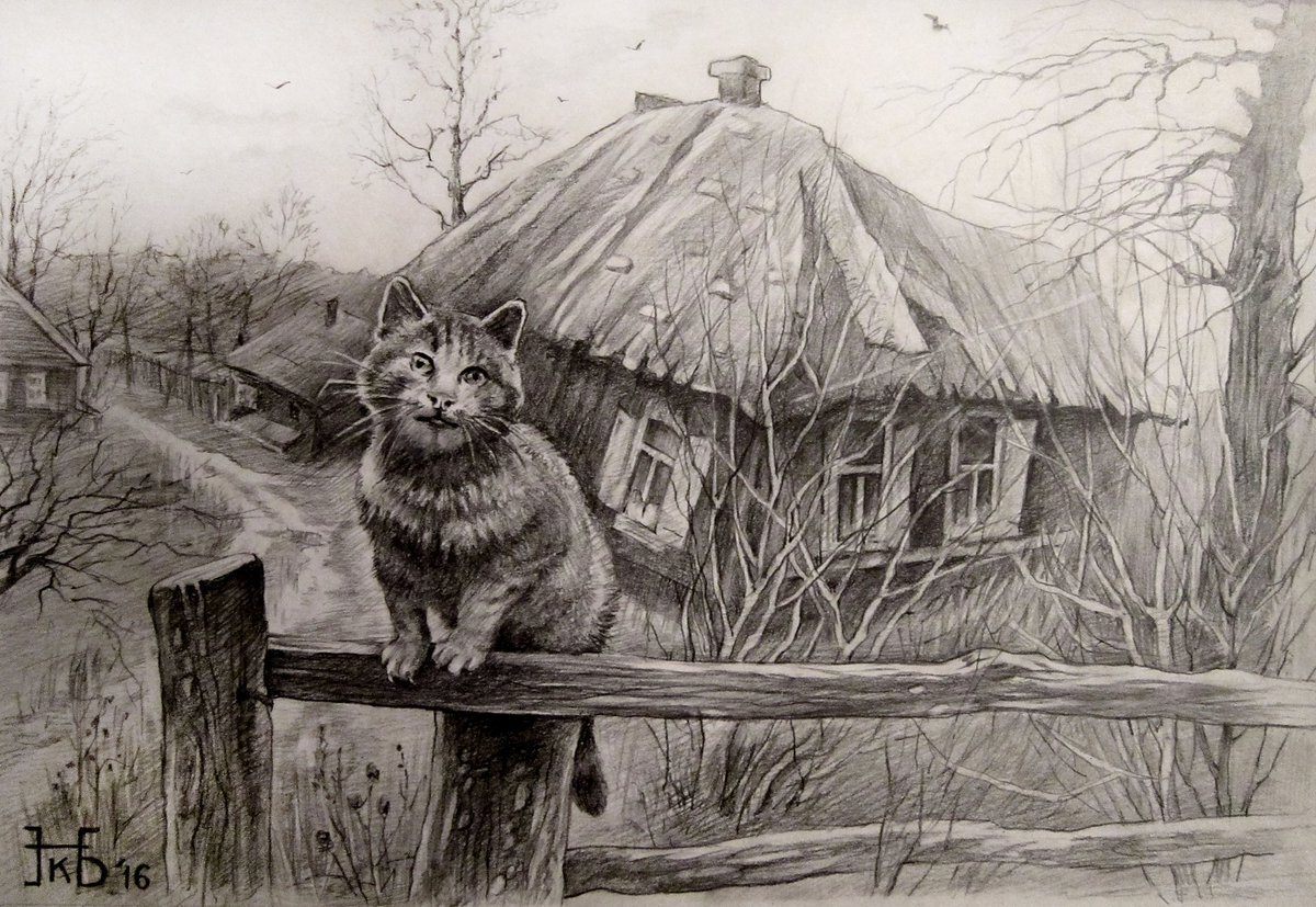 Картинка из интернета 