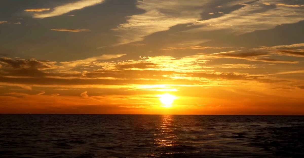 В какой-то момент надоело морозиться в Сибири, захотелось тепла, на юг.