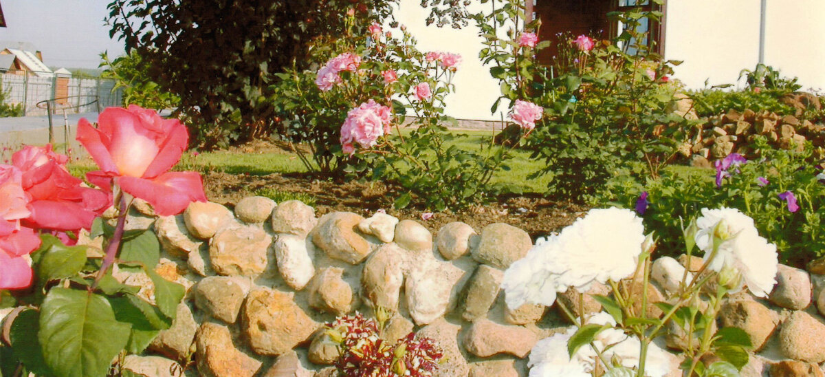 Фото автора. Подпорная стенка, выложенная булыжниками.