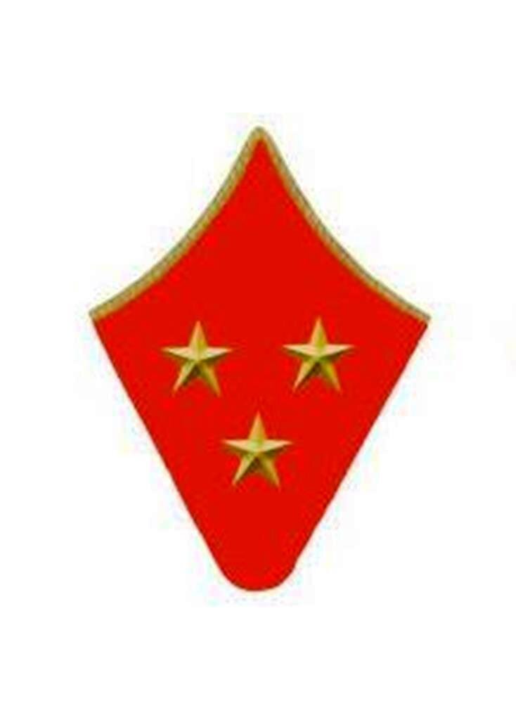 Петлица генерал-лейтенанта РККА. Яндекс картинки. 