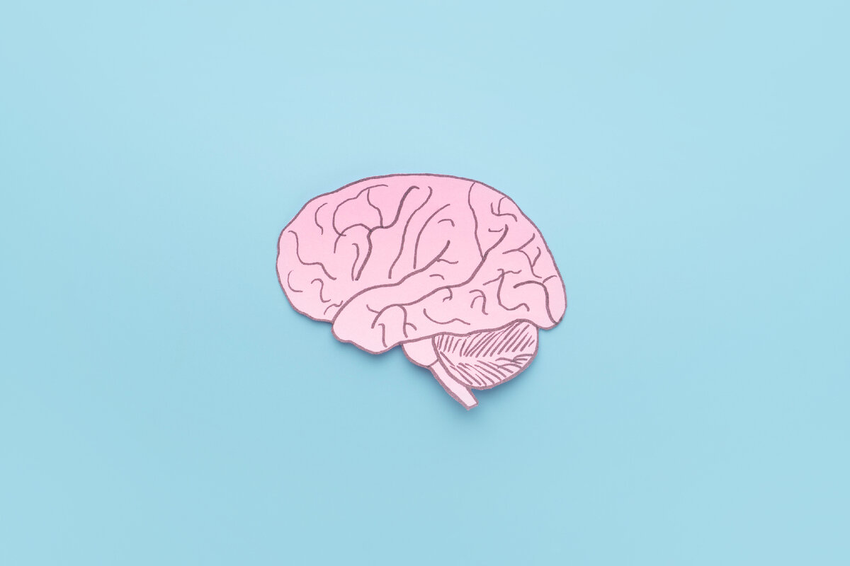 Brain 59. Мозг психология. Мозг картинка с подписями. Мозги розово синие. Фокальная эпилепсия мозг.
