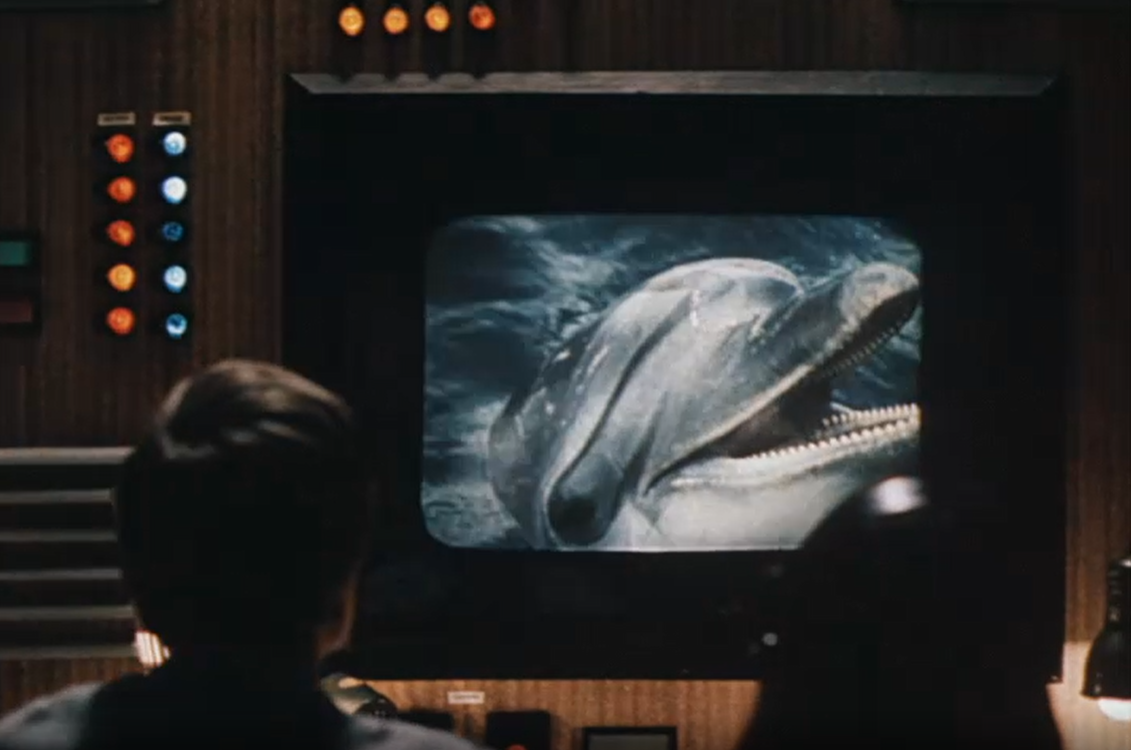 Кадр из телефильма "Люди и дельфины" (1983)