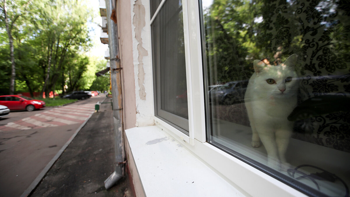 Фото: ИЗВЕСТИЯ/Зураб Джавахадзе 