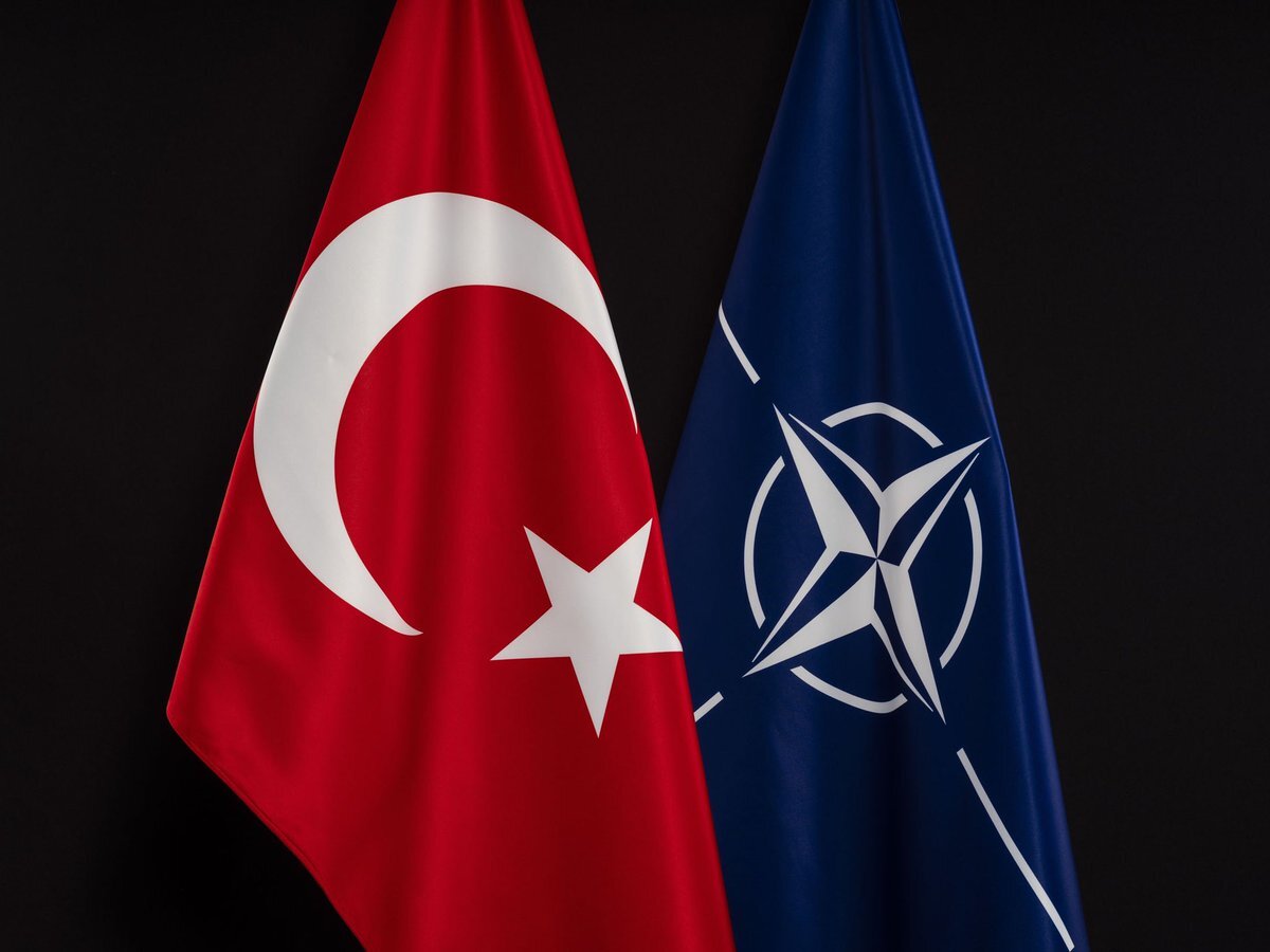 источник фото https://pbs.twimg.com/media/EjVJVRBWAAABKCZ.jpg