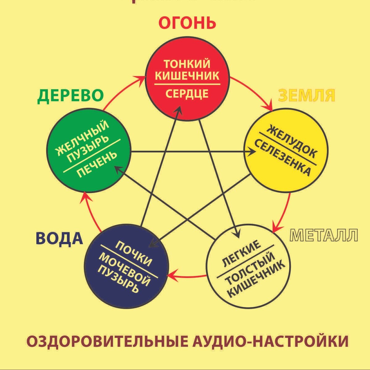 Соответствие стихии и органа